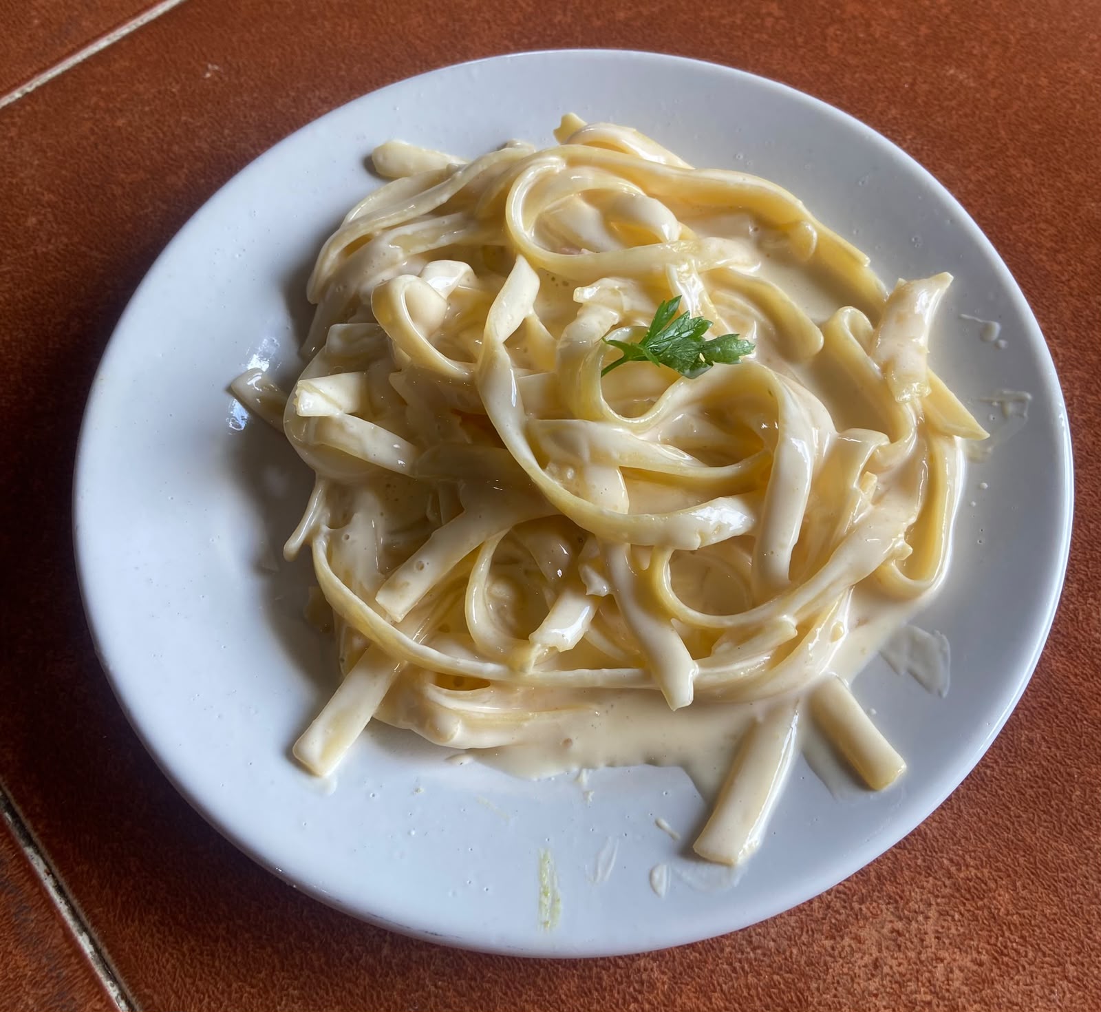 Fotografía original de un platillo de pasta